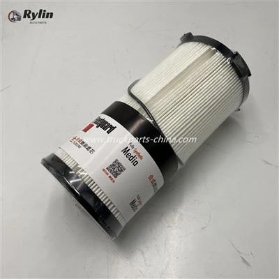 Kuro vandens separatoriaus filtras WG99255509661